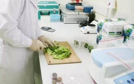 食品重金屬檢測儀，關注食品安全，防范重金屬危害